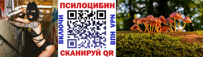 даркнет состав  mega маркетплейс  Ува  Псилоцибиновые грибы прущие грибы 